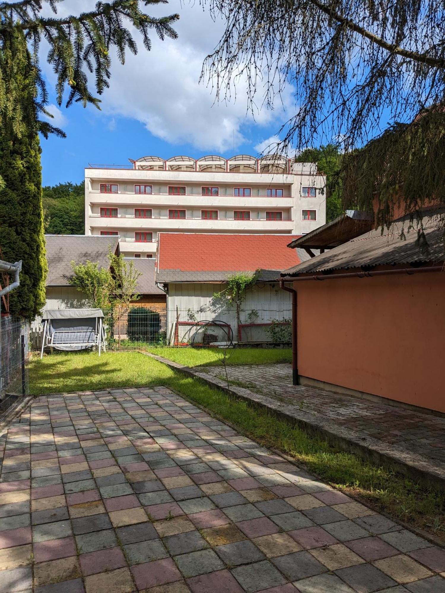Villa Alvik Geoagiu Bai Exterior photo