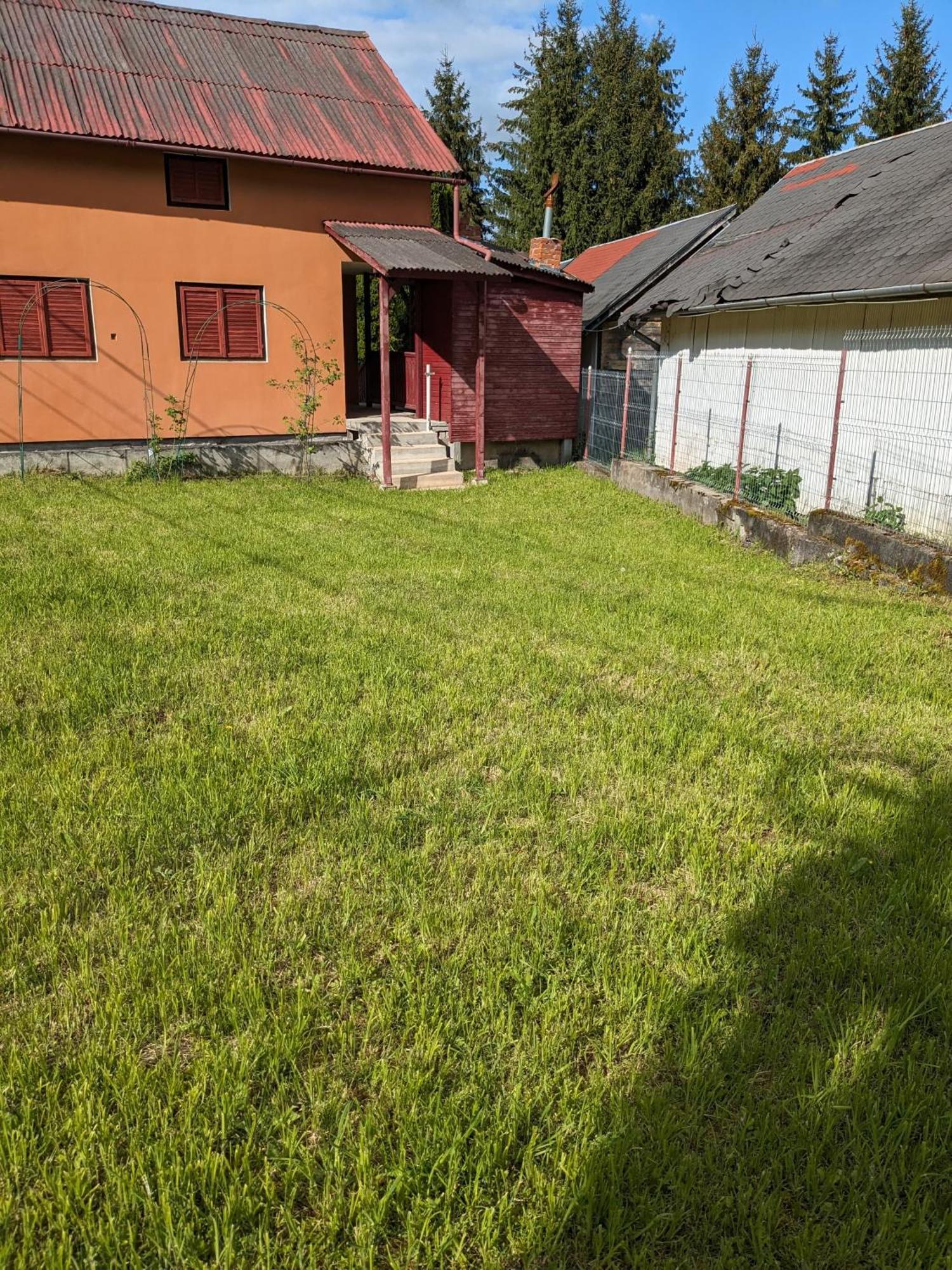 Villa Alvik Geoagiu Bai Exterior photo