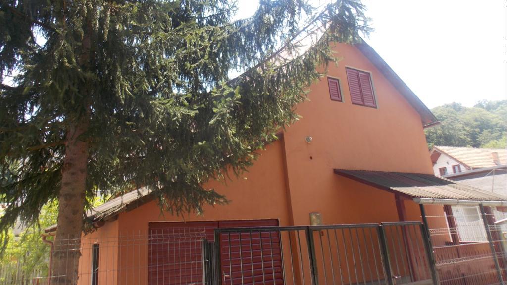 Villa Alvik Geoagiu Bai Exterior photo