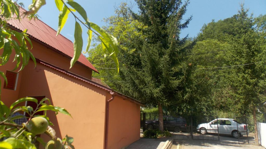 Villa Alvik Geoagiu Bai Exterior photo
